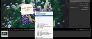 Navigera snabbt mellan mappar och samlingar i Lightroom Classic