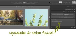 Addera metadata redan vid import till Lightroom Classic