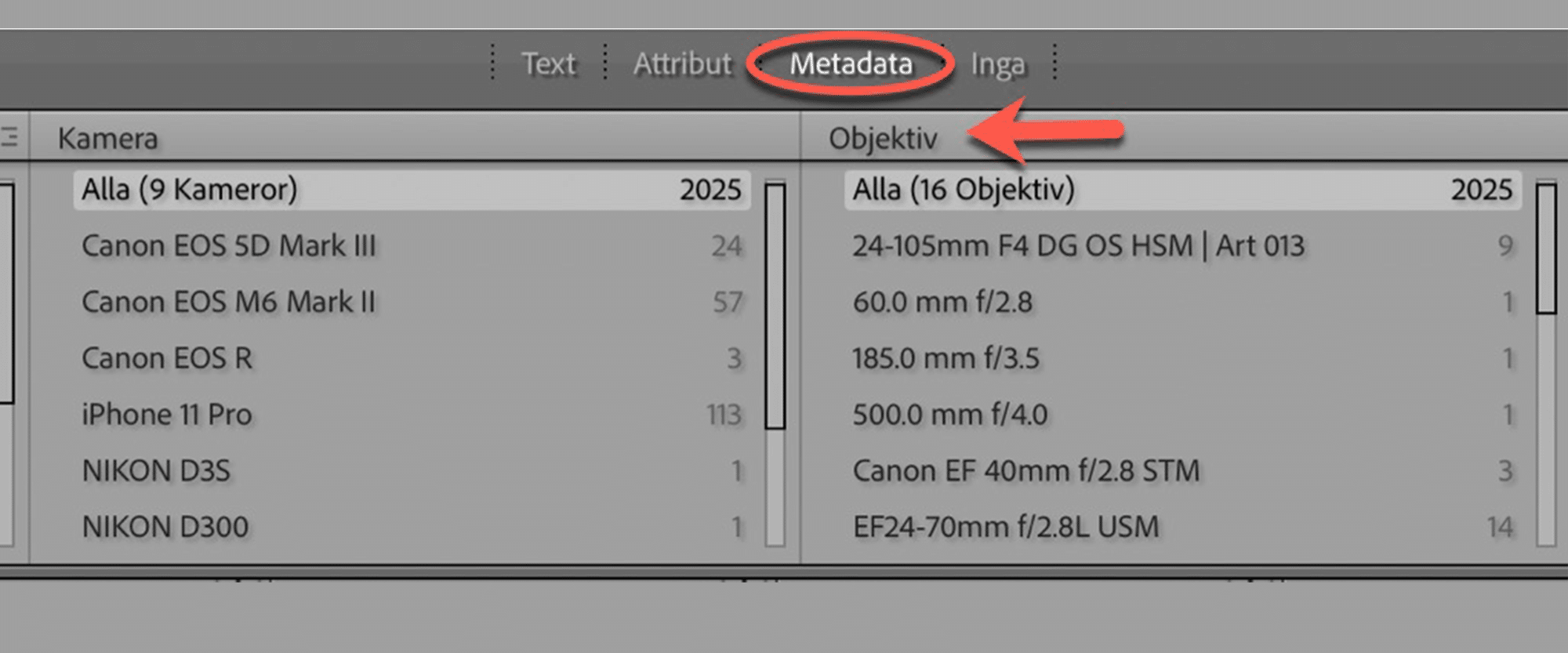 Skärmdump på Objektivsök i Lightroom Classic