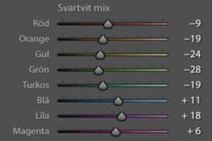 Svartvit mix