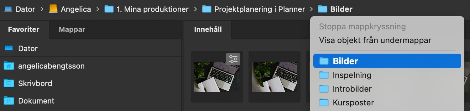 Visa undermappar i Bridge