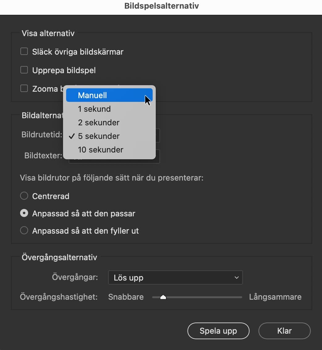 Bildspelsalternativ i Bridge