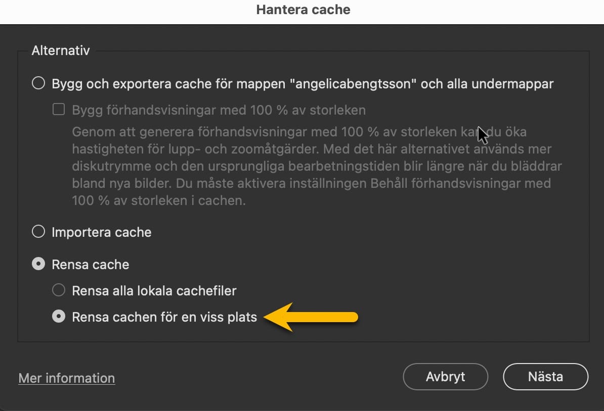 Rensa cachen från en viss plats i Bridge