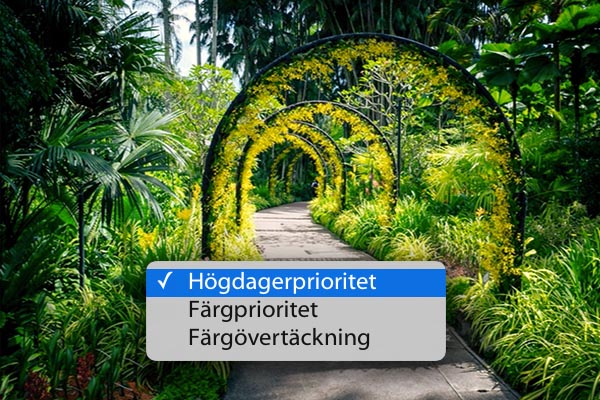 Högdagerprioroitet