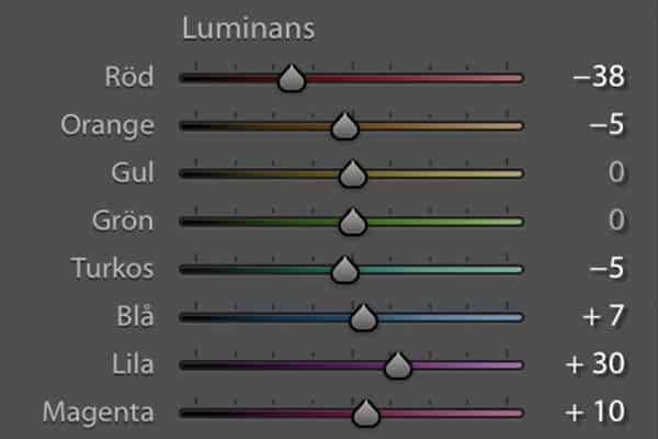 Luminansreglage