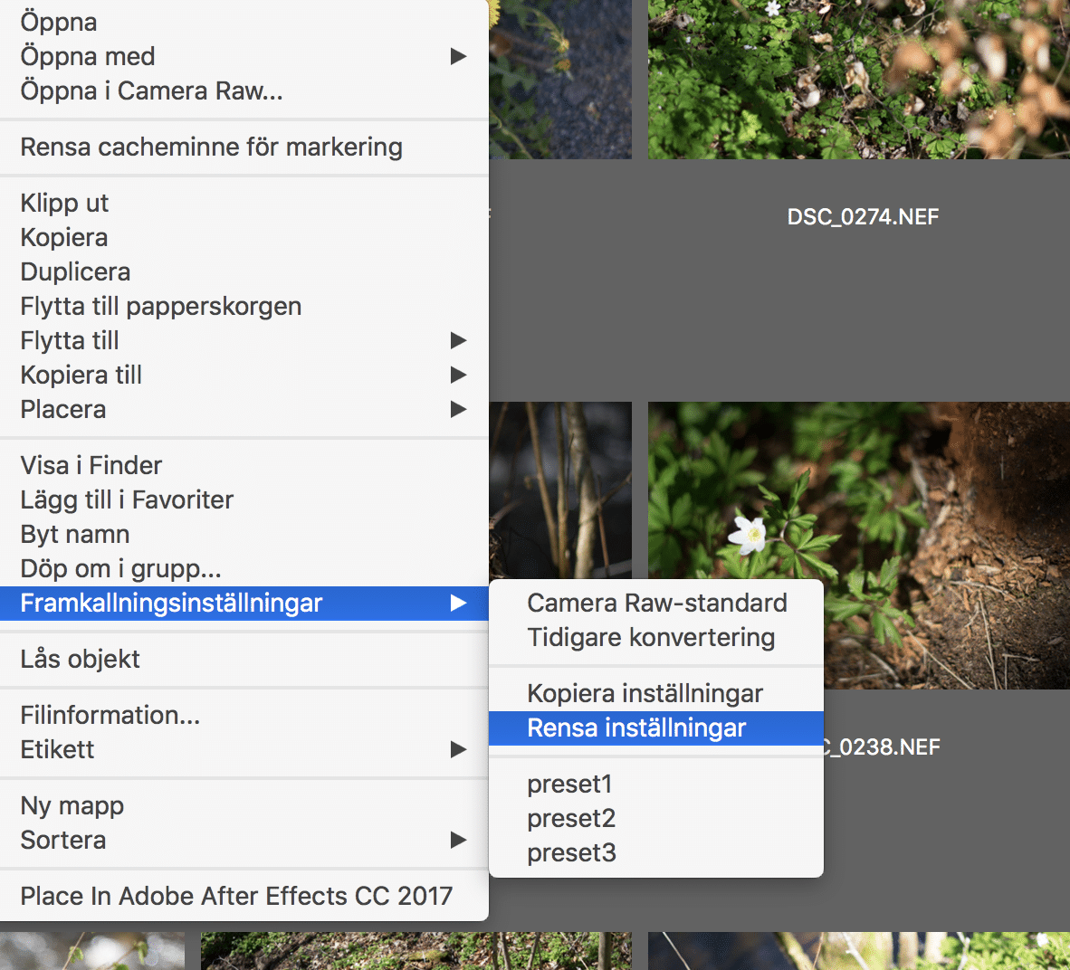 Så återställer du Camera Raw-justeringar i Bridge