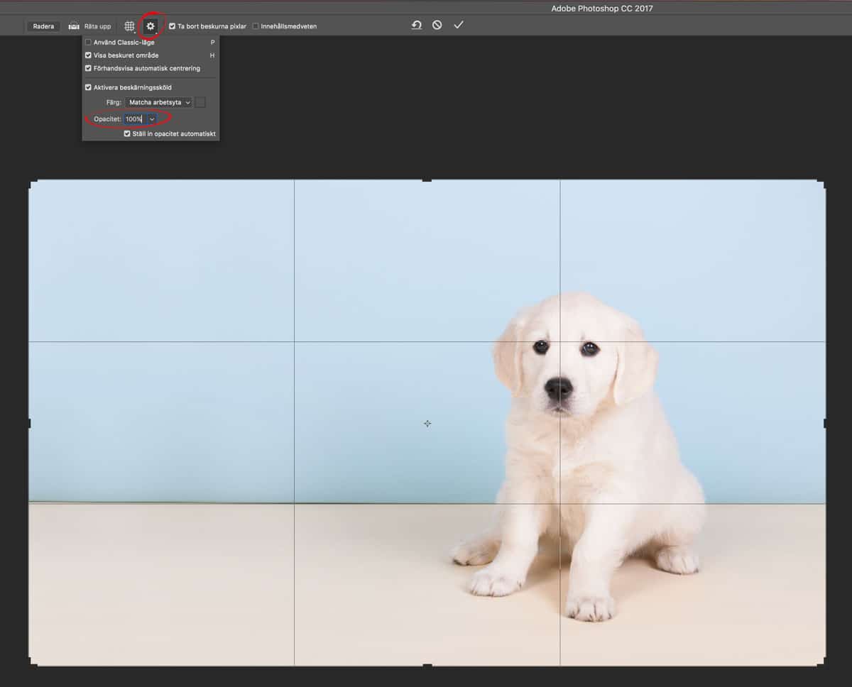 Bättre förhandsgranskning för din beskärning i Photoshop