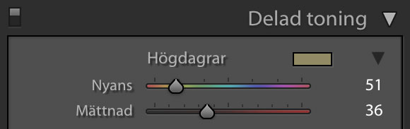 Delad toning - Högdagrar