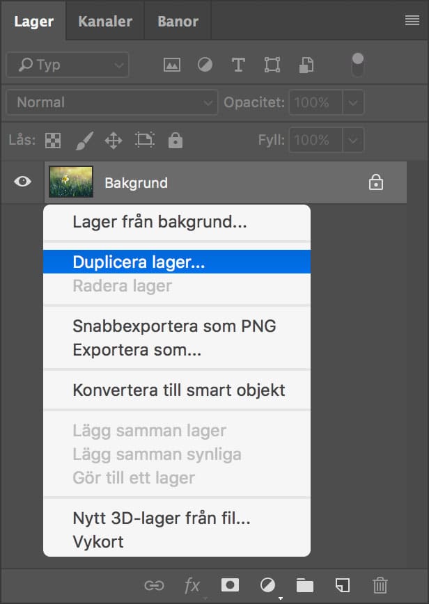 Duplicera lager