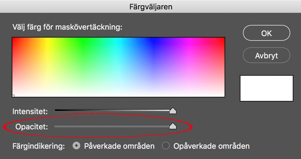Justeringspenseln i Camera Raw