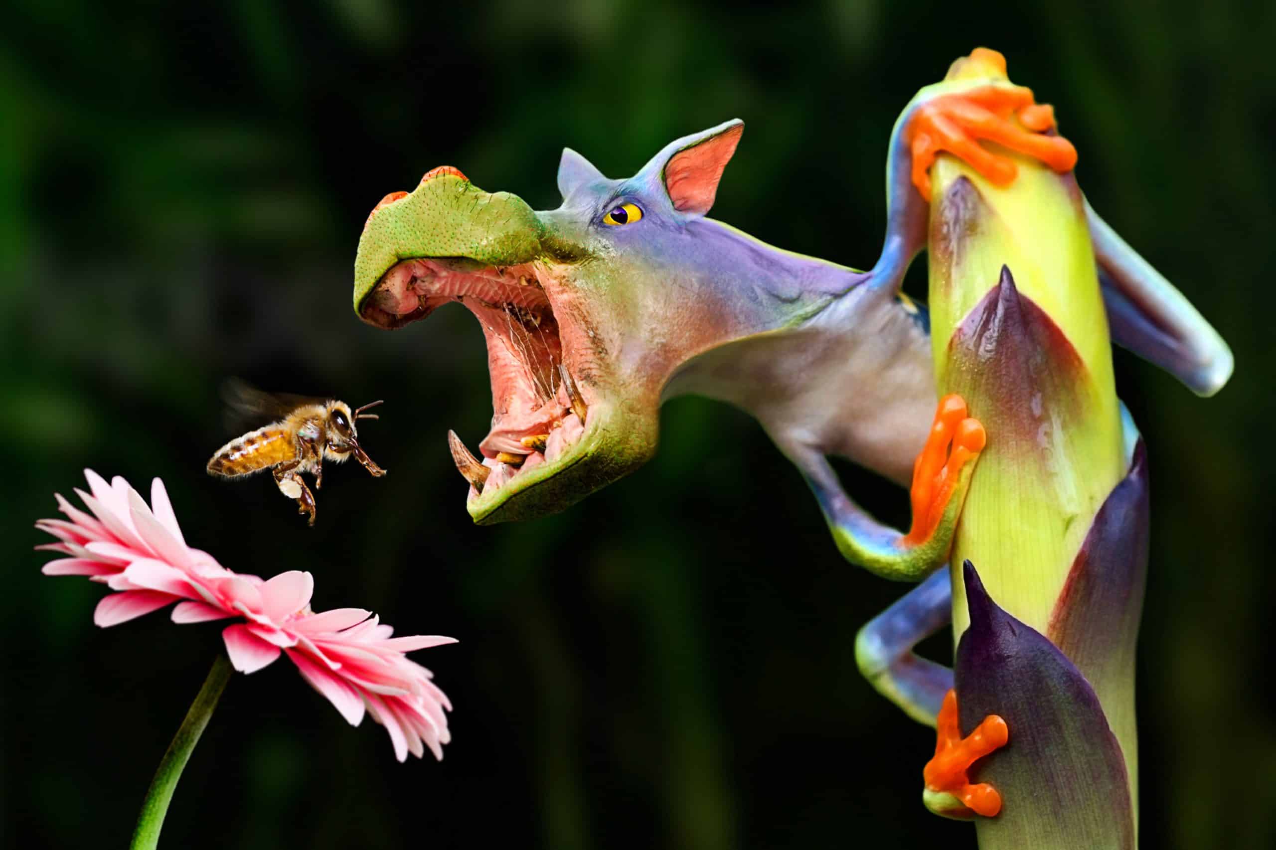 Cool redigerad flodhäst-drake