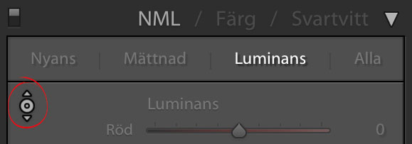 Luminansreglagen