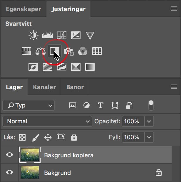 Svartvitt justeringslager