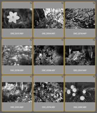 Testa svartvitt på en hel mapp raw