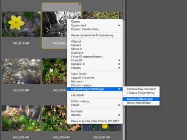 Testa svartvitt på en hel mapp raw
