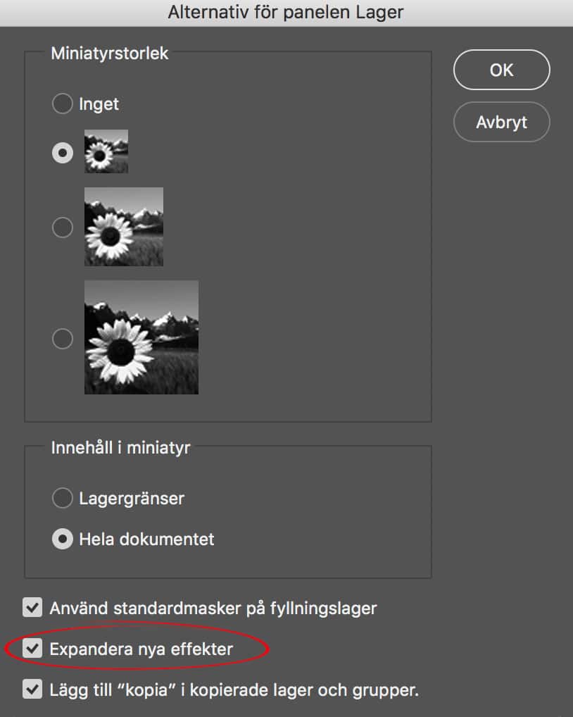 Slipp se alla lagerstilar i lagerpanelen i Photoshop