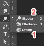 Svamp och skugga