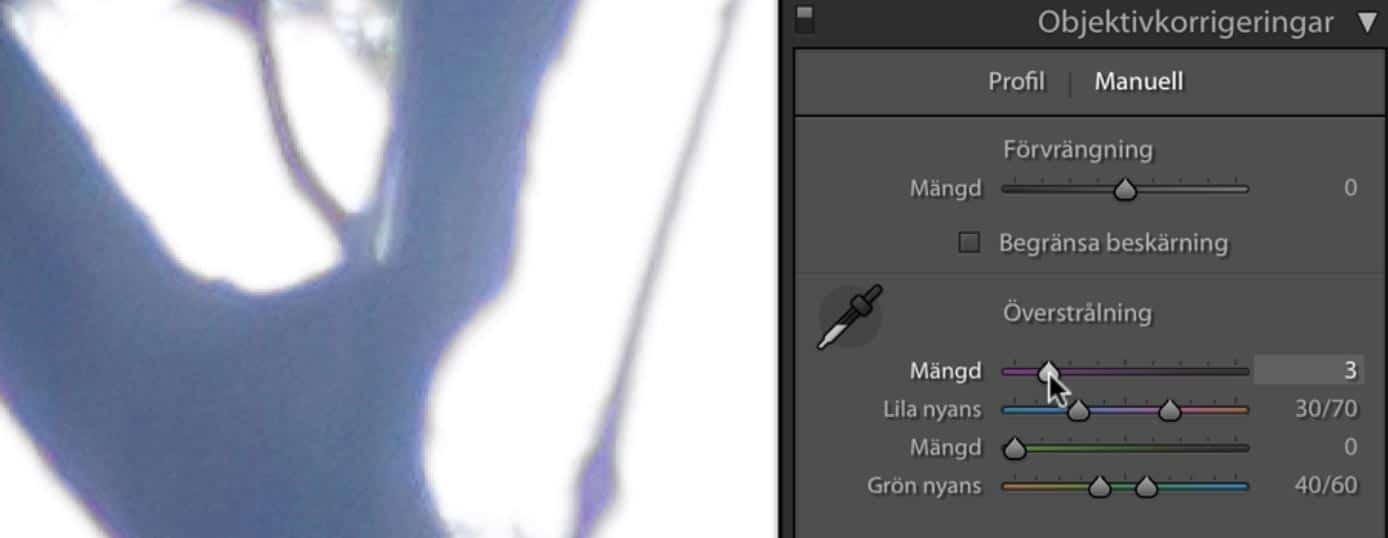 Mängd och Lila nyans