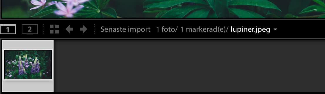 Här kan du lätt växla samling