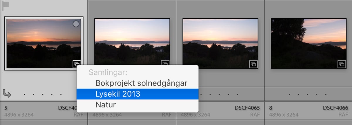 Samling i Lightroom