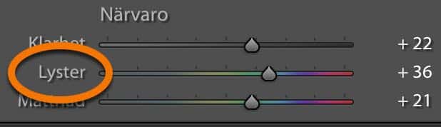 Lyster Lightroom