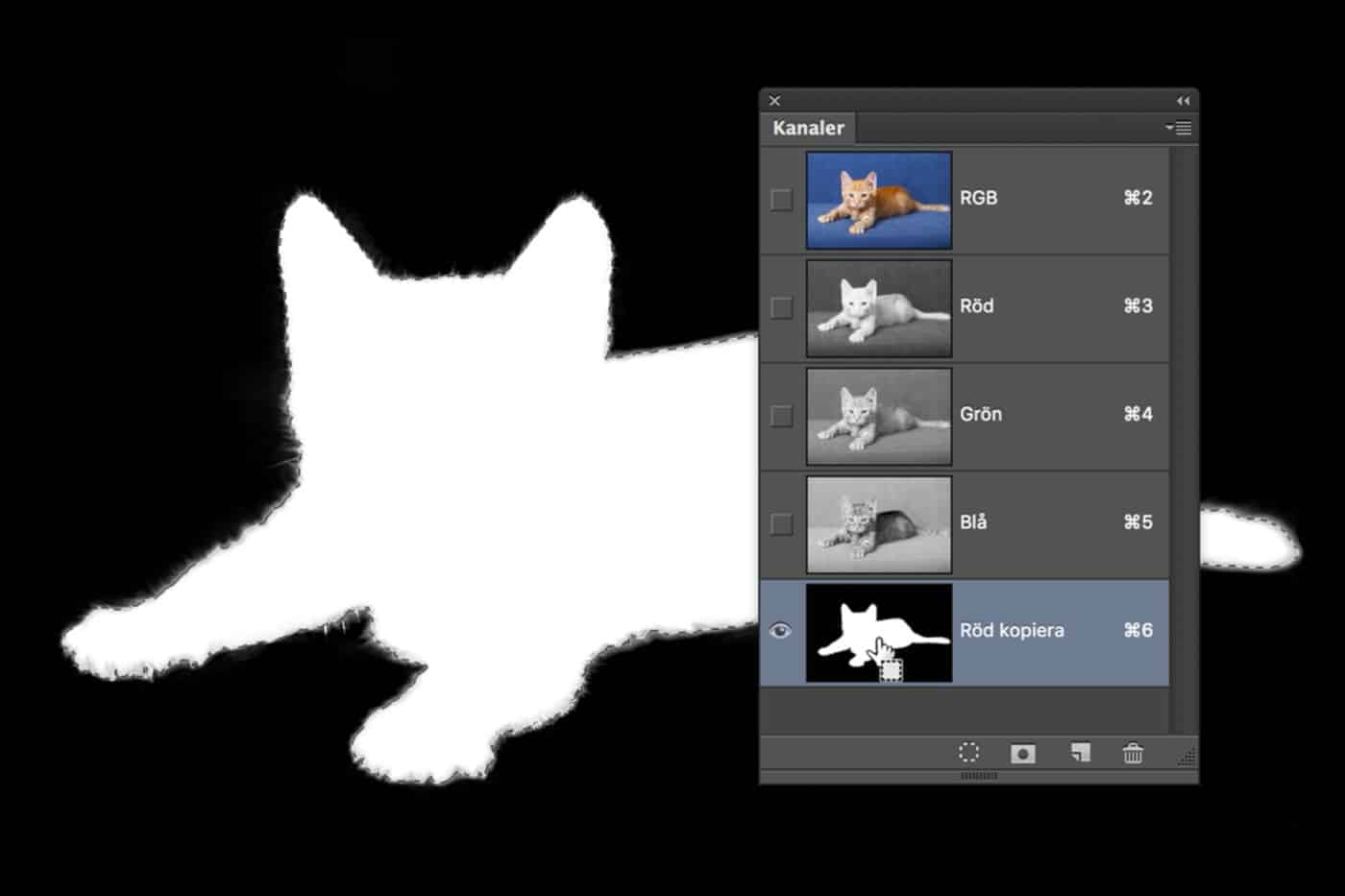 Markera allt i lagret i Photoshop