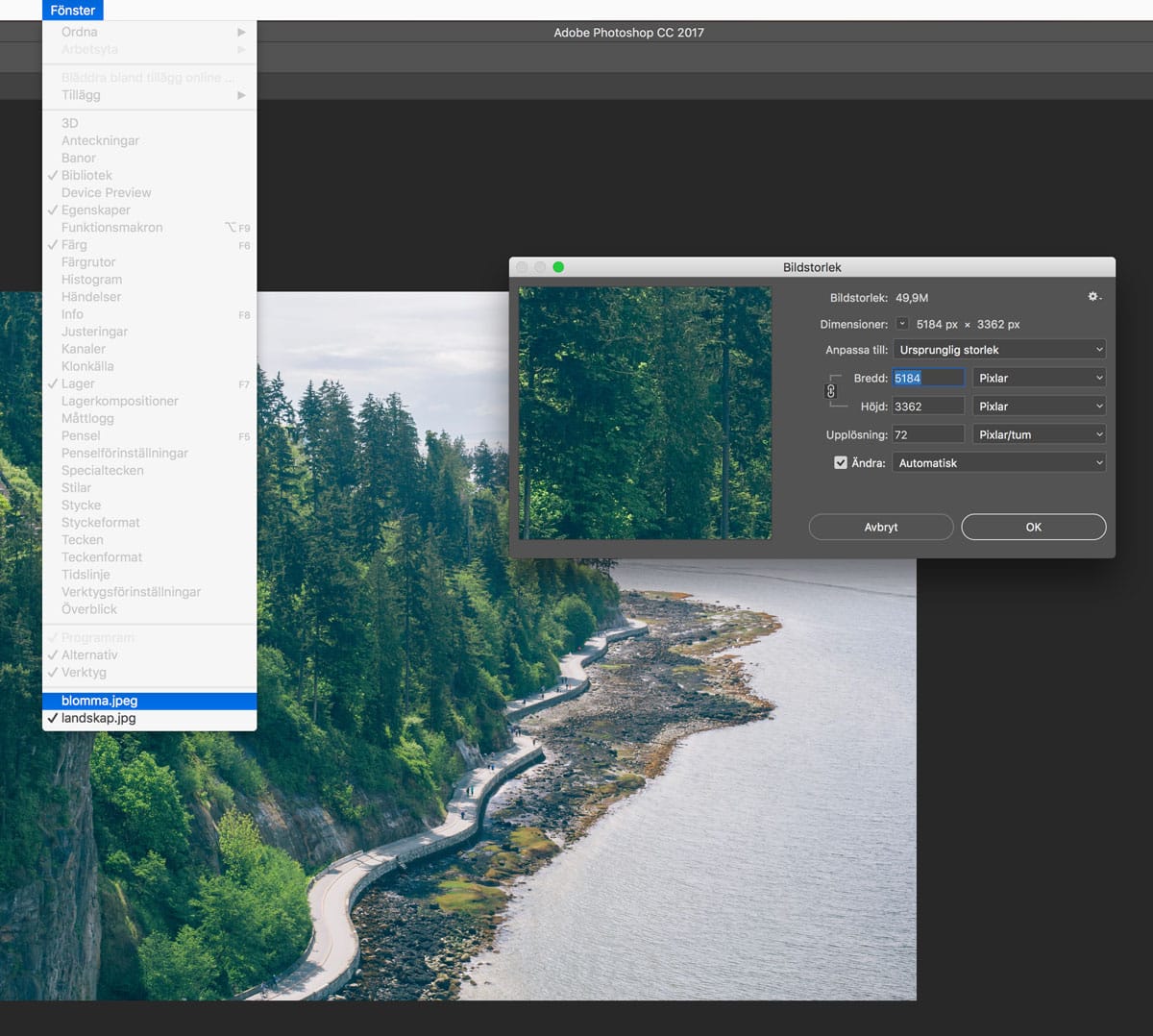 Matcha bildens storlek till ett annat dokument i Photoshop