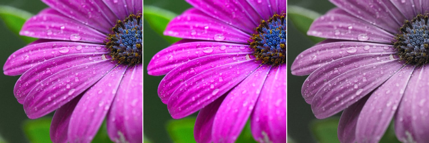 Färmgmättnad i Lightroom