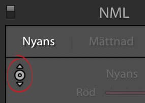 Nyansreglagen