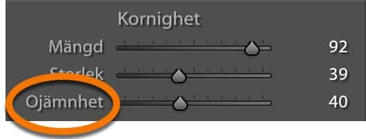 Effekter för ojämnhet i lightroom