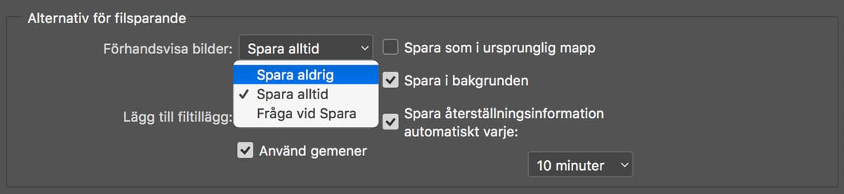 Snabba upp Photoshops bildsparande