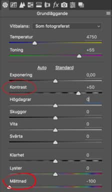 Testa svartvitt på en hel mapp raw