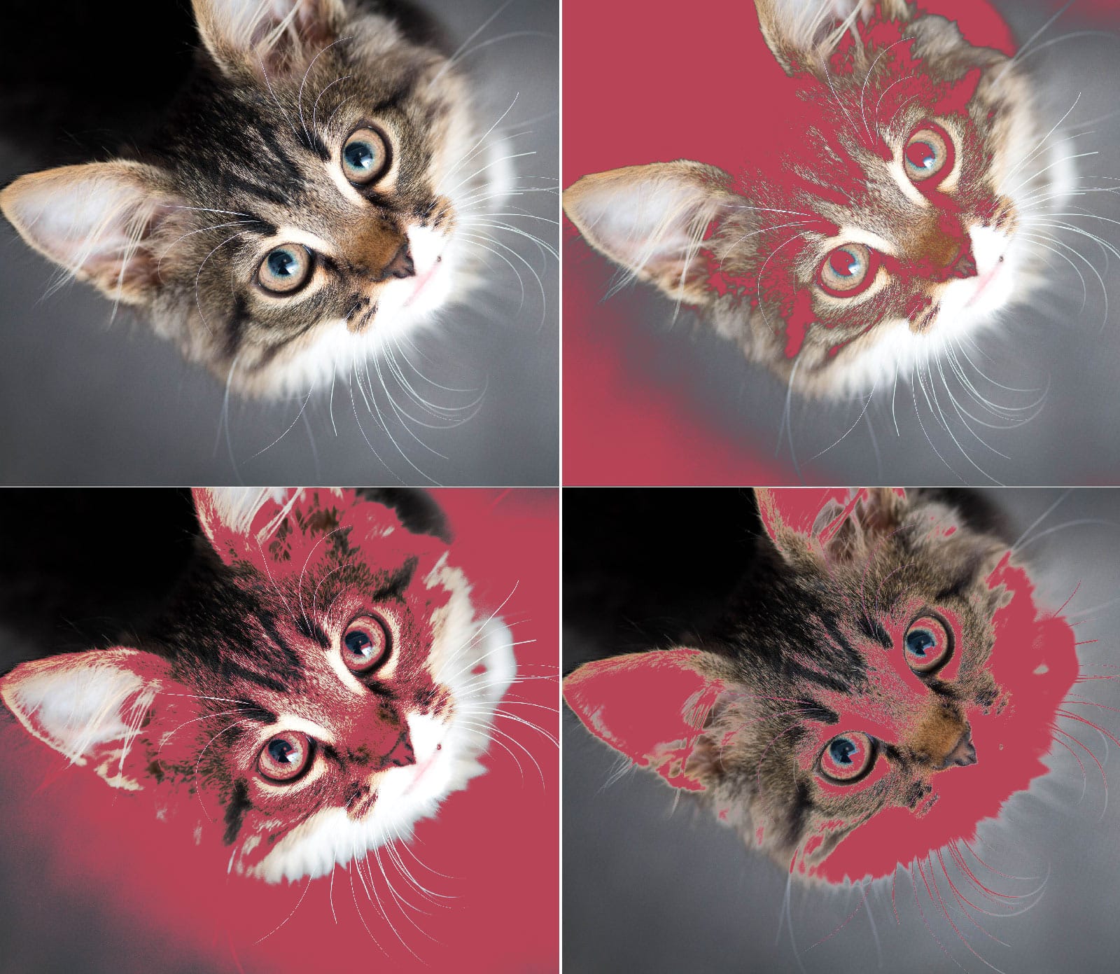 Markerade skuggor etc