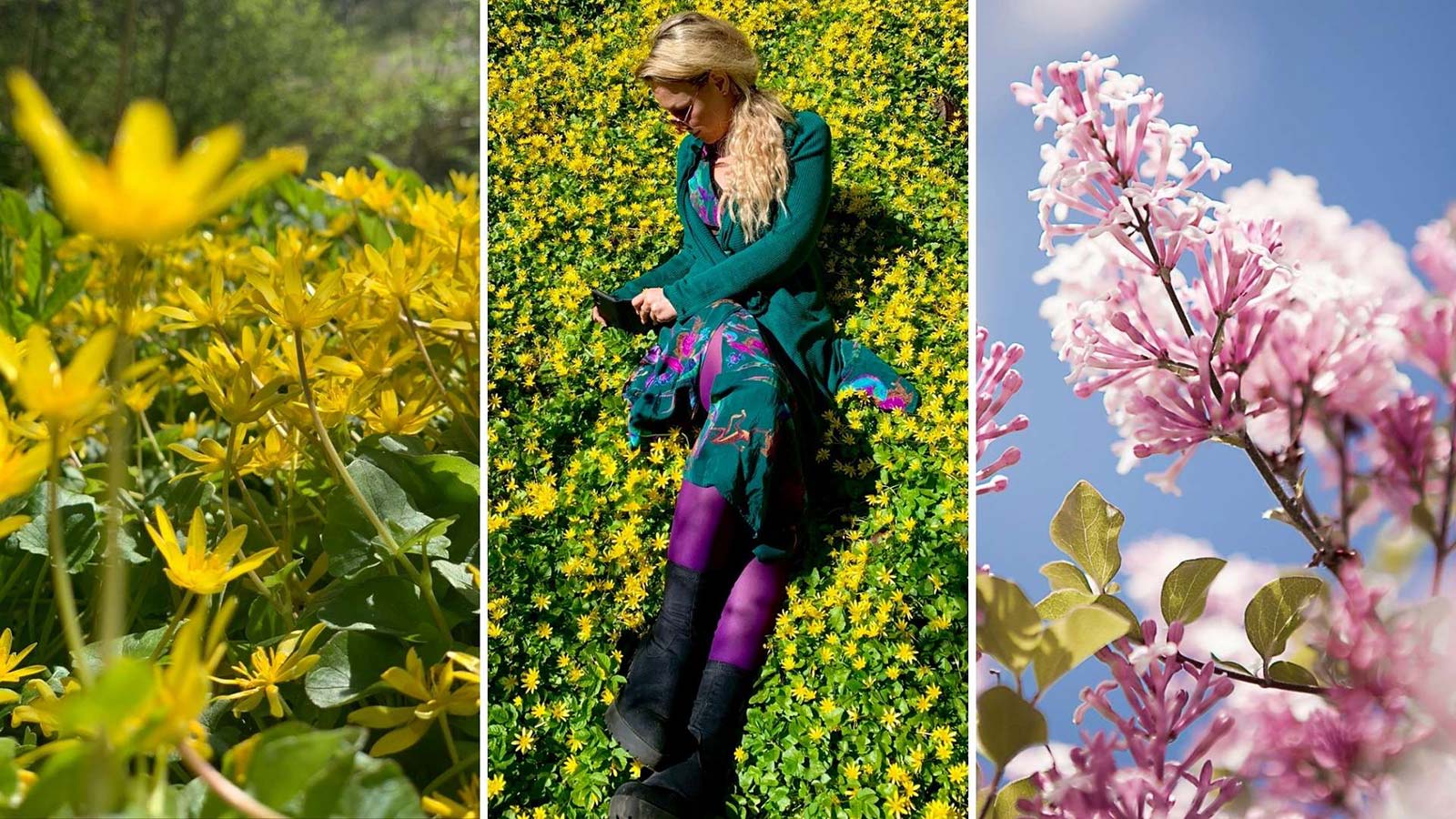 Kollage med tre bilder. I mitten en blond kvinna som ligger i gräset och fotograferar blommor med mobilkamera. Till höger och vänster syns gula och rosa blommor i närbild.