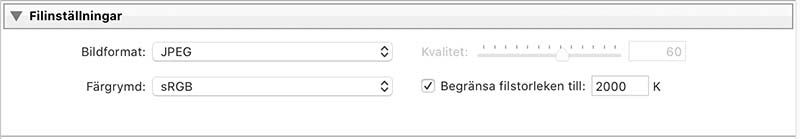 Inställningar för filinställning vid export i Lightroom Classic