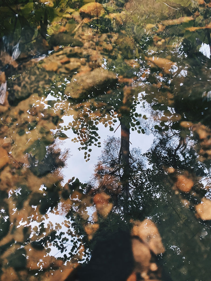 Reflektion i en vattenpöl