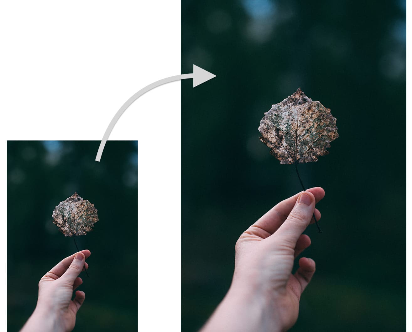 Super Resolution I Lightroom Classic
