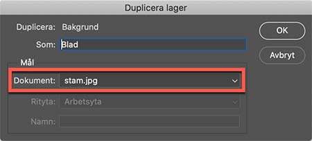 Dialogrutan Duplicera lager i Photoshop