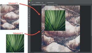 Kopiera ett lager till ett annat dokument i Photoshop