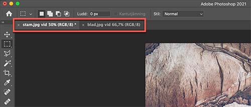 Två bilder öppnade i Photoshop