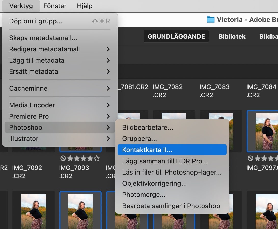 Verktyget Kontaktkarta i Bridge
