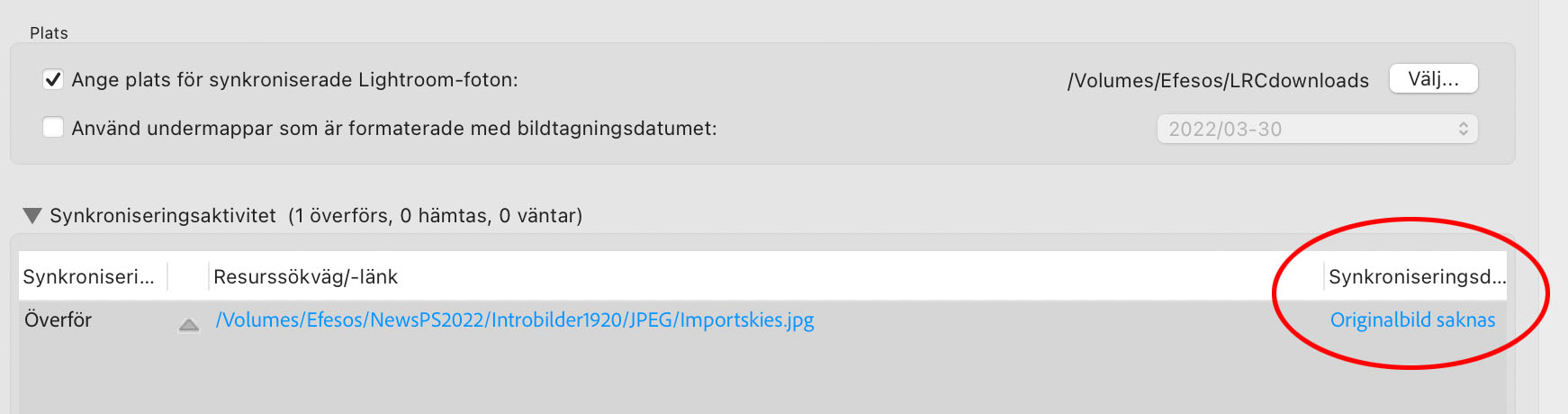 Synkroniseringsaktiviteten i Lightroom Classic signalerar att en originalbild saknas.