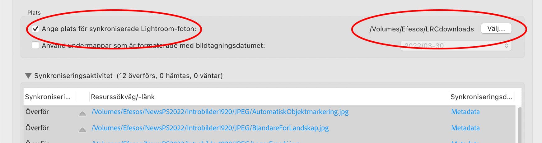 En bit av dialogrutan för inställningar i lightroom Classic. "Plats för synkroniserade foton" är inringat.