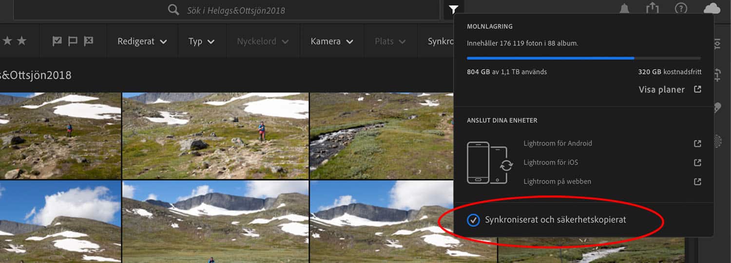 En del av gränssnittet i Lightroom Desktop, där synkroniseringsstatusen säger "synkroniserat och säkerhetskopierat".