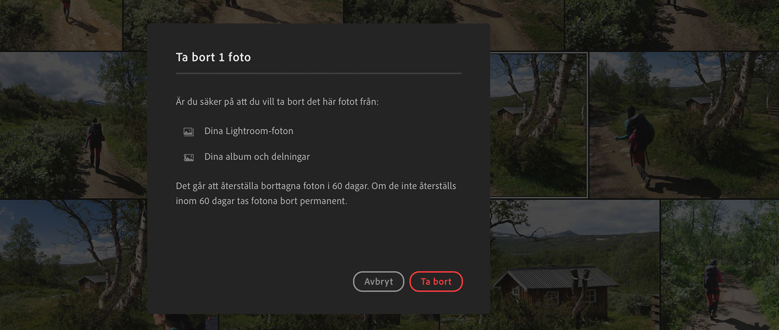 En bild i Lightroom ska tas bort från biblioteket