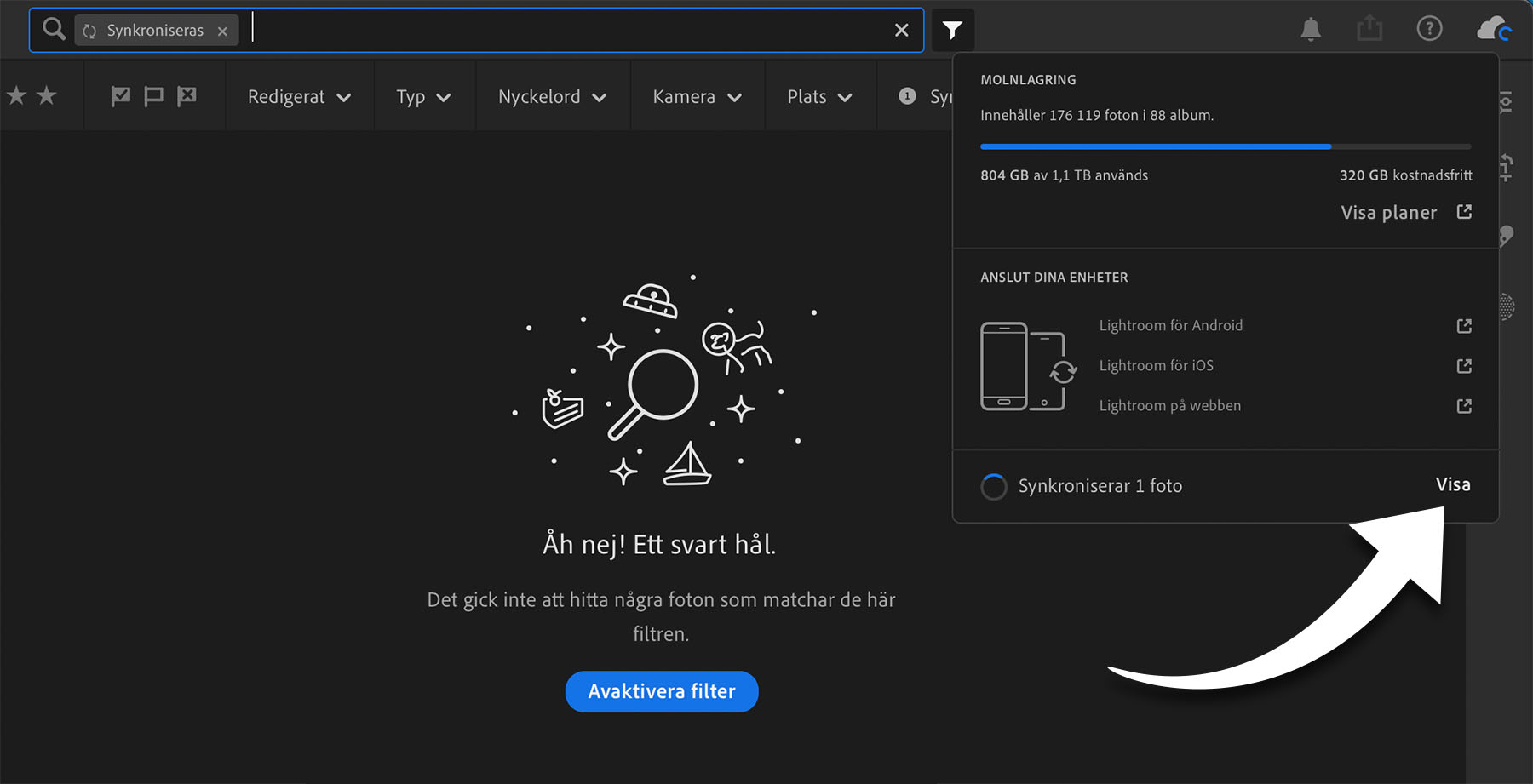Lightroom-gränssnitt med filtrering på bilder som synkroniseras för tillfället. Filtreringen ger inga bilder.