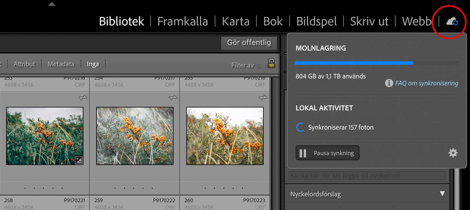 Grafik som pekar ut molnikonen i Lightroom Classic
