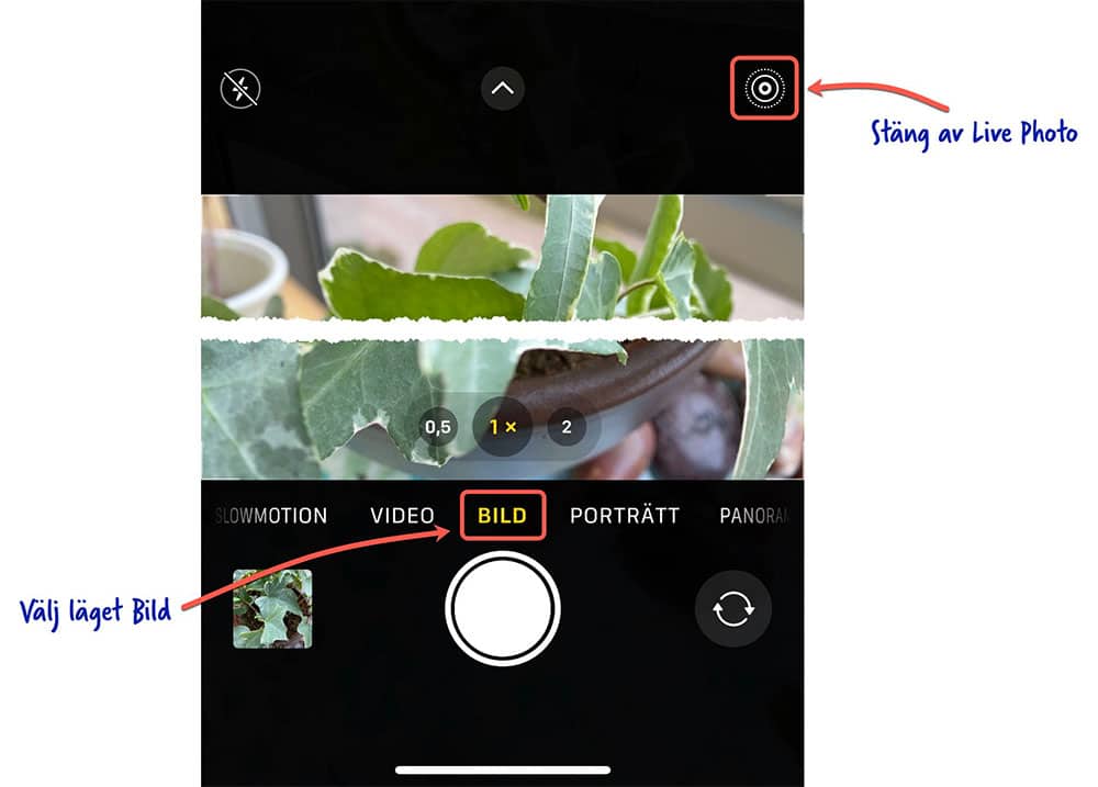 Illustration av hur du stänger av Live Photo på din iPhone