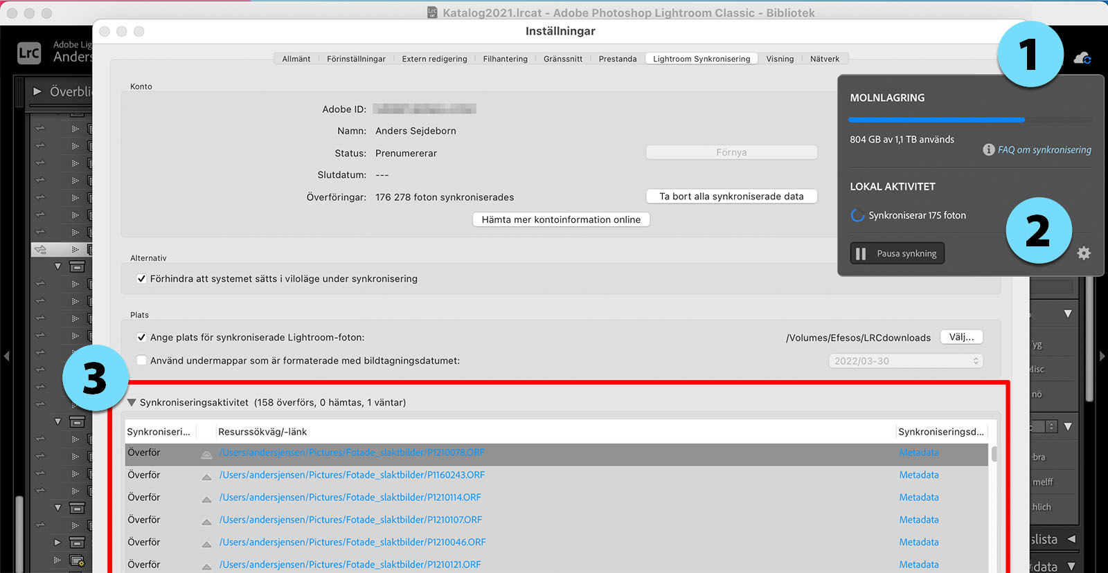 Dialogrutan för inställningar i Lightroom Classic med listan över synkroniseringsaktivitet utfälld.