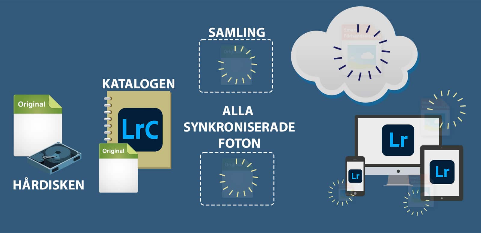 Grafik visar vilka kopior som försvinner när synkroniseringen av en bild avslutas i Lightroom Classic